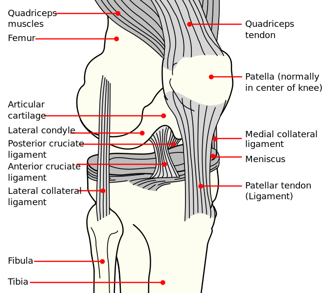 totul despre boala artrozei genunchiului ce să ia pentru dureri articulare