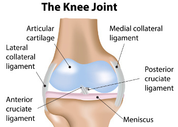 meniscus tear