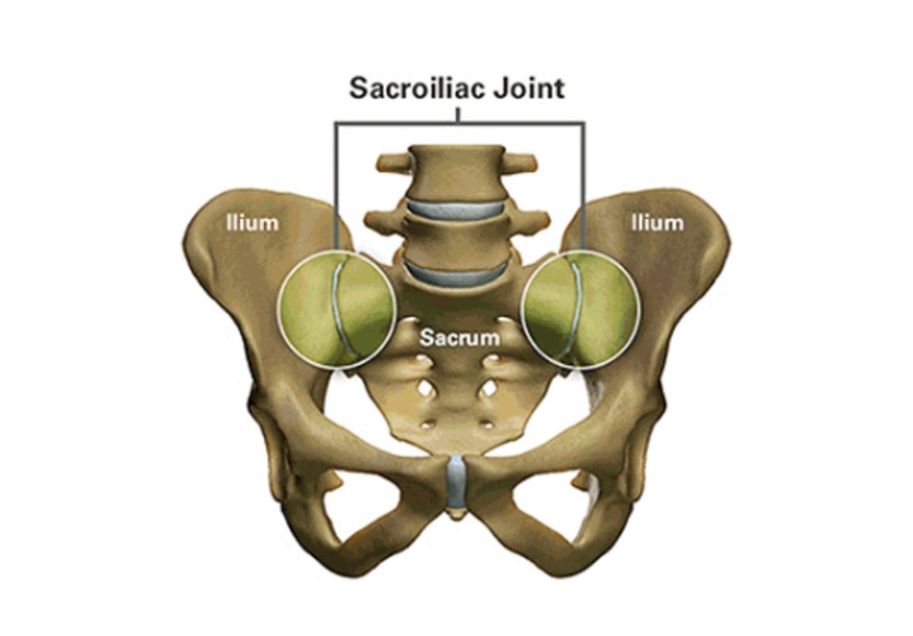 Sacroiliac (SI) Joint