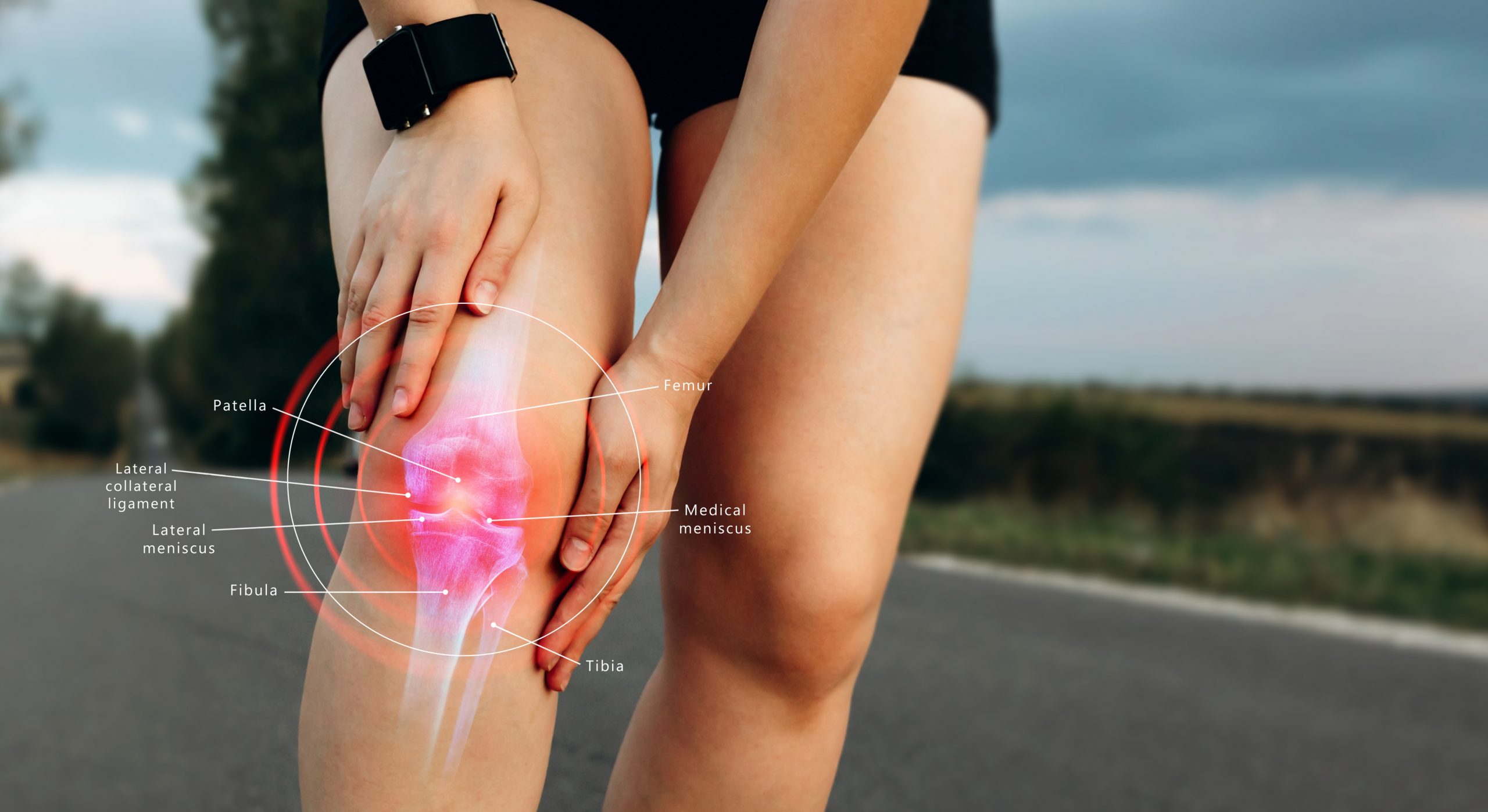 Knee Pain & Meniscus Tears